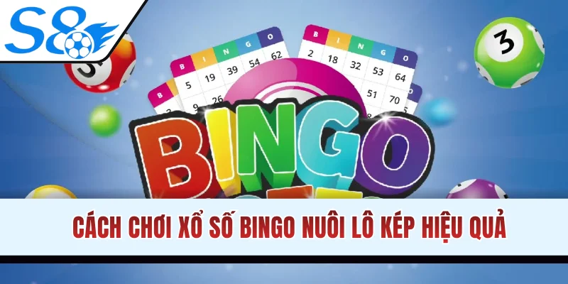 Cách chơi xổ số Bingo nuôi lô kép hiệu quả