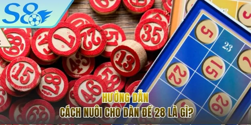 Hướng dẫn cách nuôi hiệu quả cho dàn đề 28 là gì